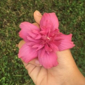 Meet your Posher, Ameresse